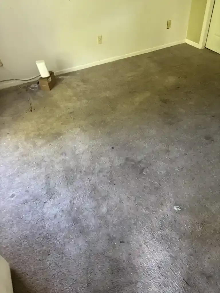 Castle Rock Hard Water Emergency Carpet Residue Cleaning