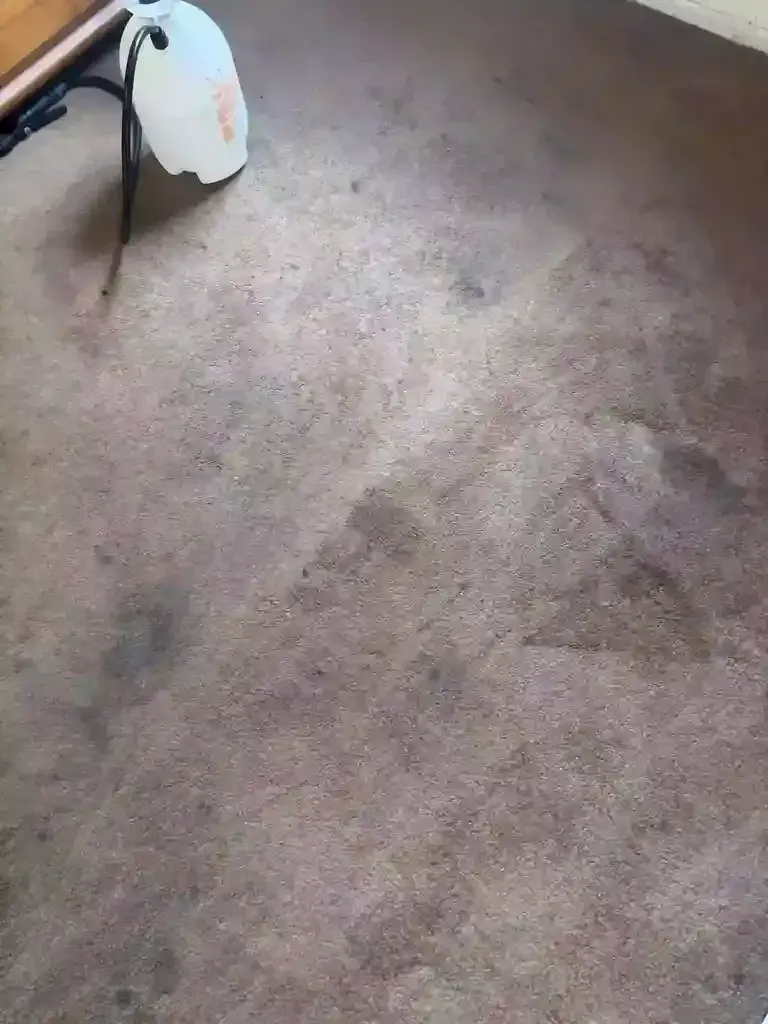 Foothills Clay Iron Oxide Carpet Stain Removal Across Littleton