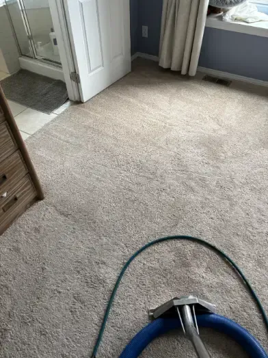 castle rock same day carpet cleaning