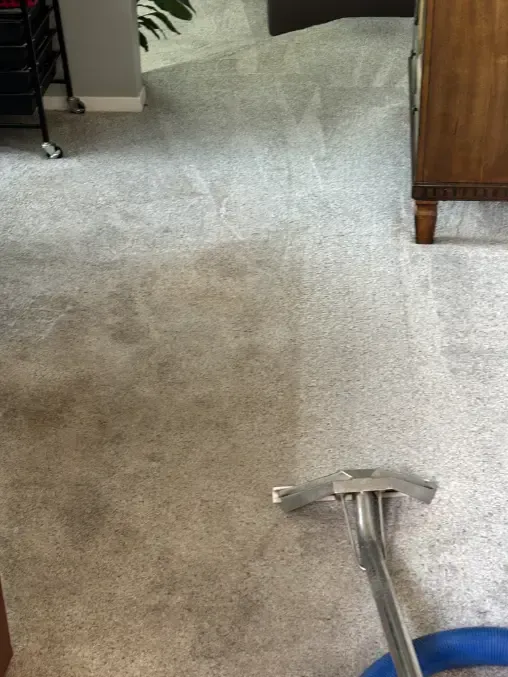 Lone Tree Pre-Event and Guest Arrival Same-Day Carpet Cleaning