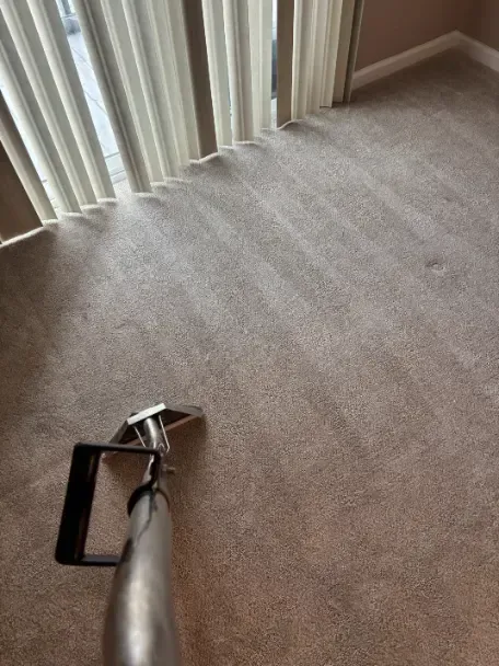 Same-day carpet cleaning service in Lone Tree Colorado