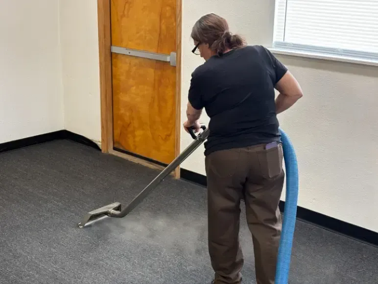 Kid and pet safe carpet cleaning in Denver Metro