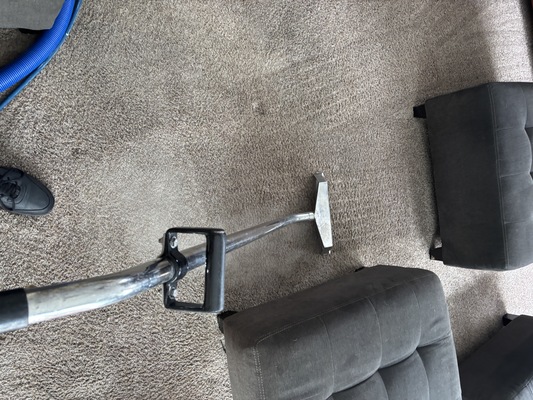 Pet Urine Carpet and Upholstery Cleaning: What It Actually Takes
