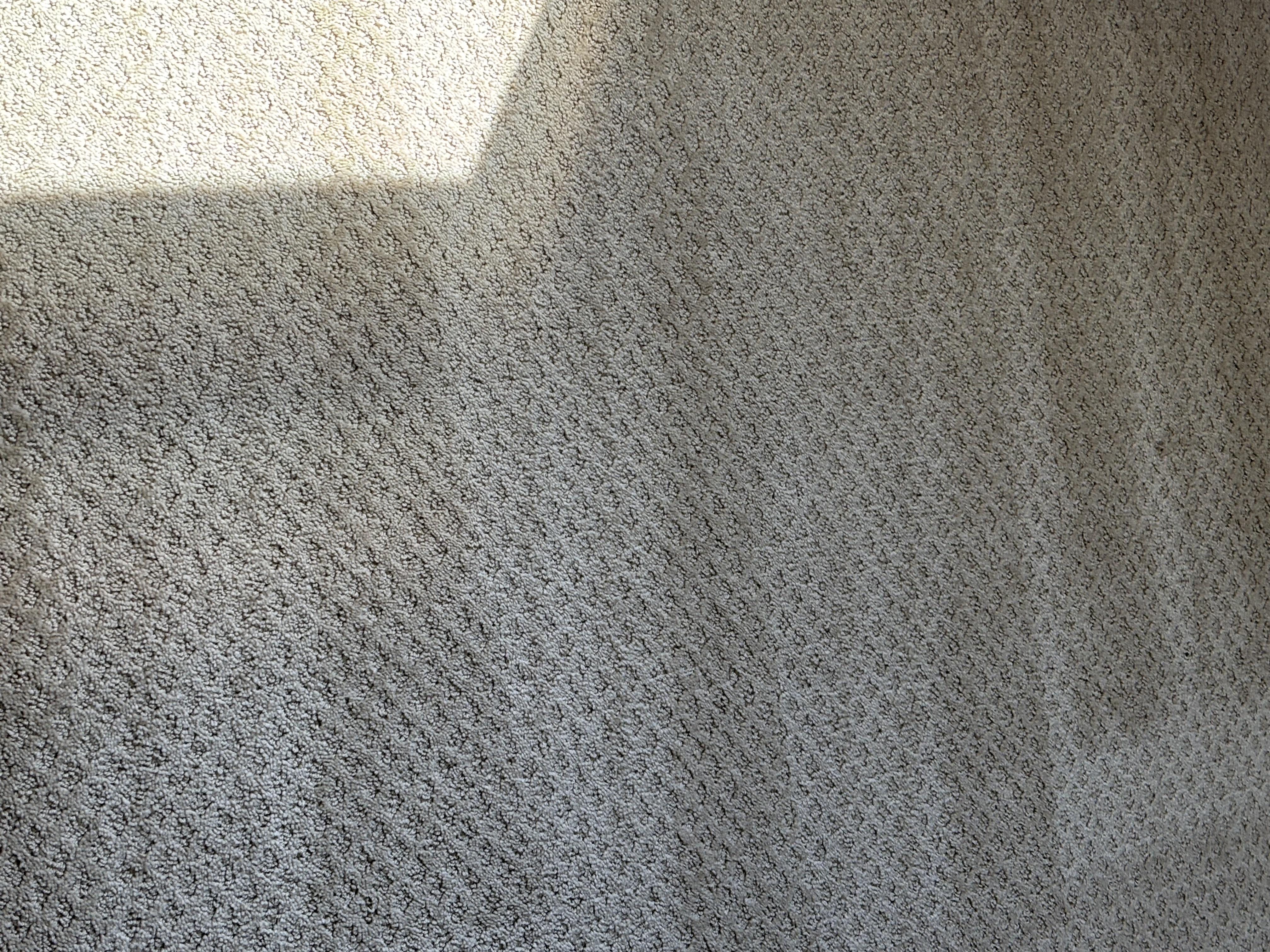 Same-Day Carpet Cleaning in Castle Pines – Move-Out Emergency at The Canyons