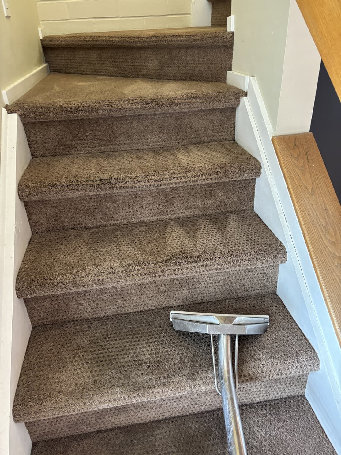 Why Diana's Stairs Restained Two Days Later — A Highlands Ranch Wicking Case Study