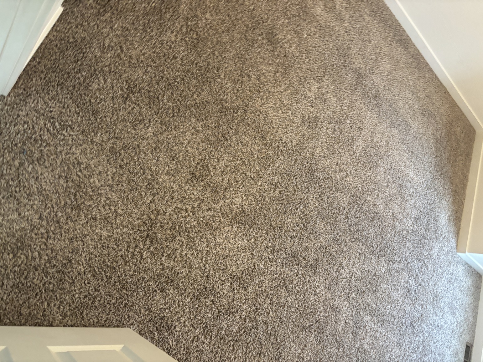 Move-Out Carpet Cleaning Downtown Littleton — Victorian Access & Pet Stains