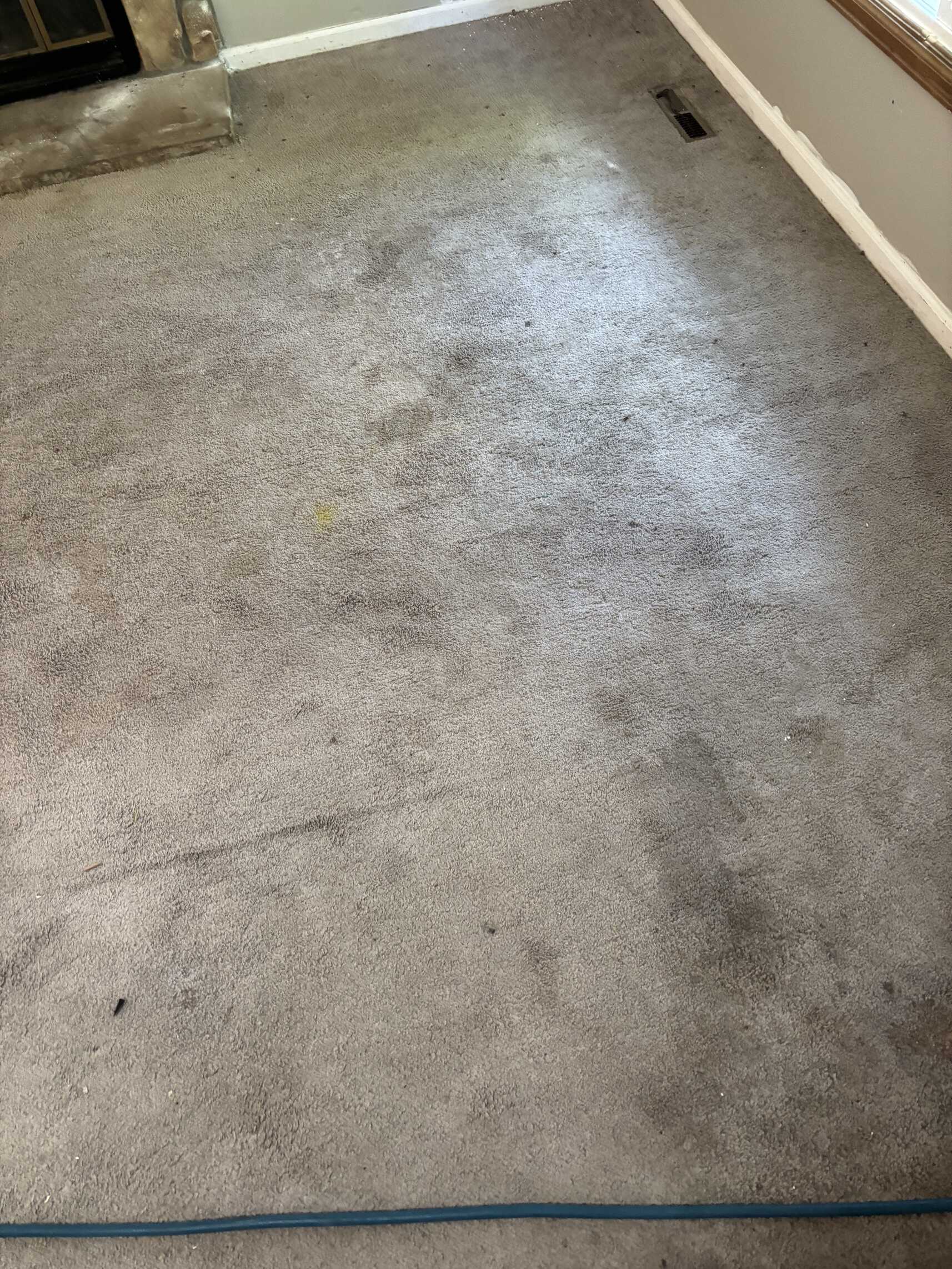 Construction Spots, Airbnb Prep, and a 750 Square Foot Basement That Surprised Everyone