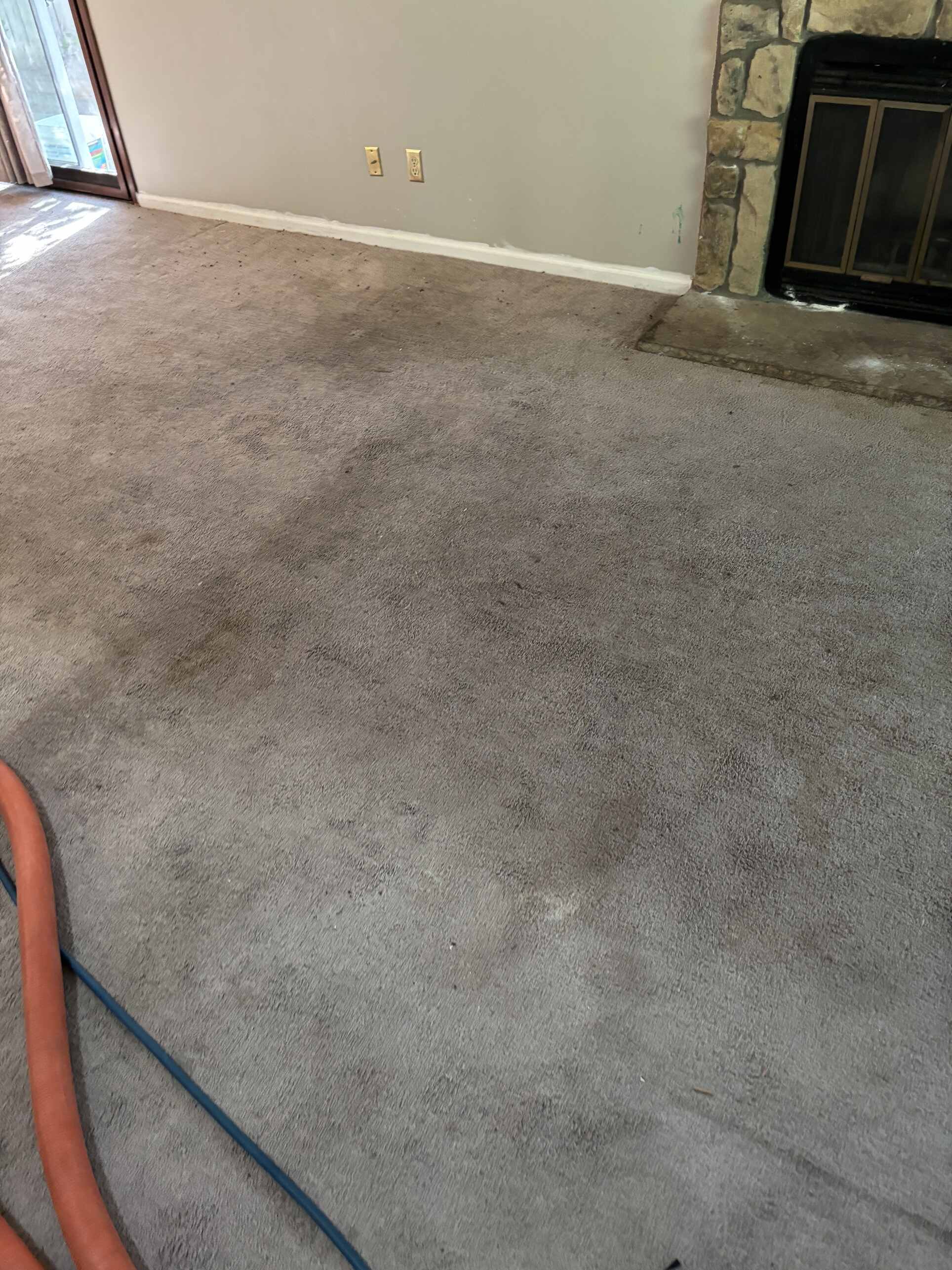Highlands Ranch Carpet Cleaning — Elderly Dog Urine, Red Hue Stains, and Nylon Cut Berber on University Boulevard