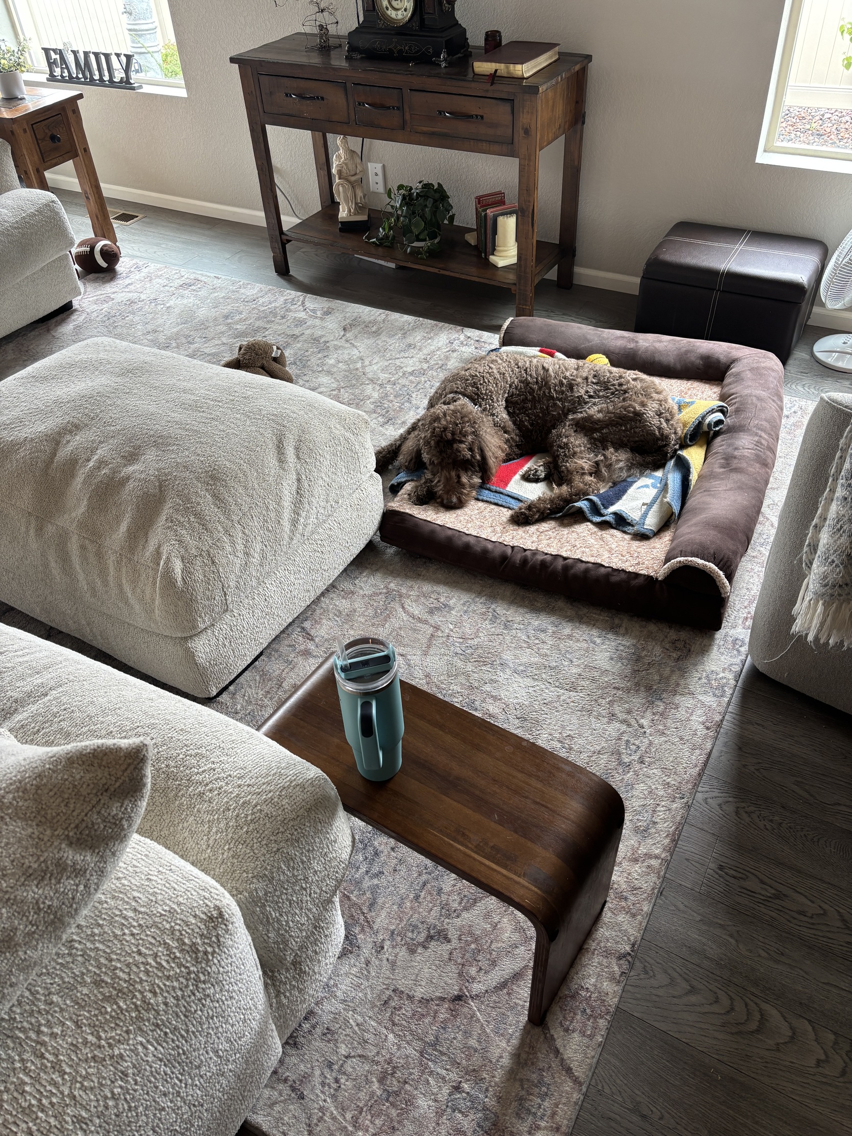 Five Dogs. Two Weeks. One Castle Rock Carpet. Here Is What It Took.