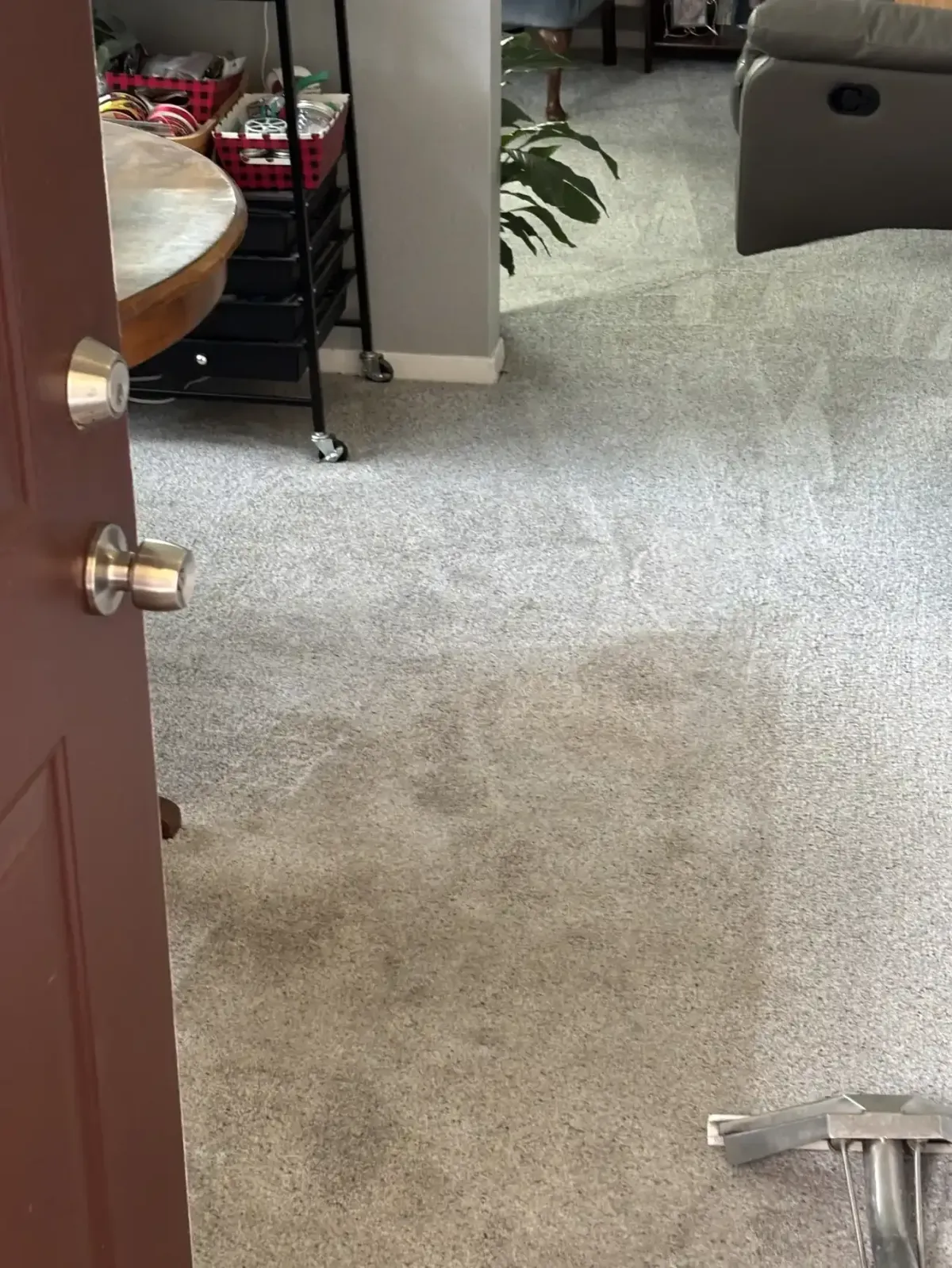 How a Pet Urine Carpet Job in Green Valley Ranch Went From Two Failed Attempts to a 25-Year Compliment