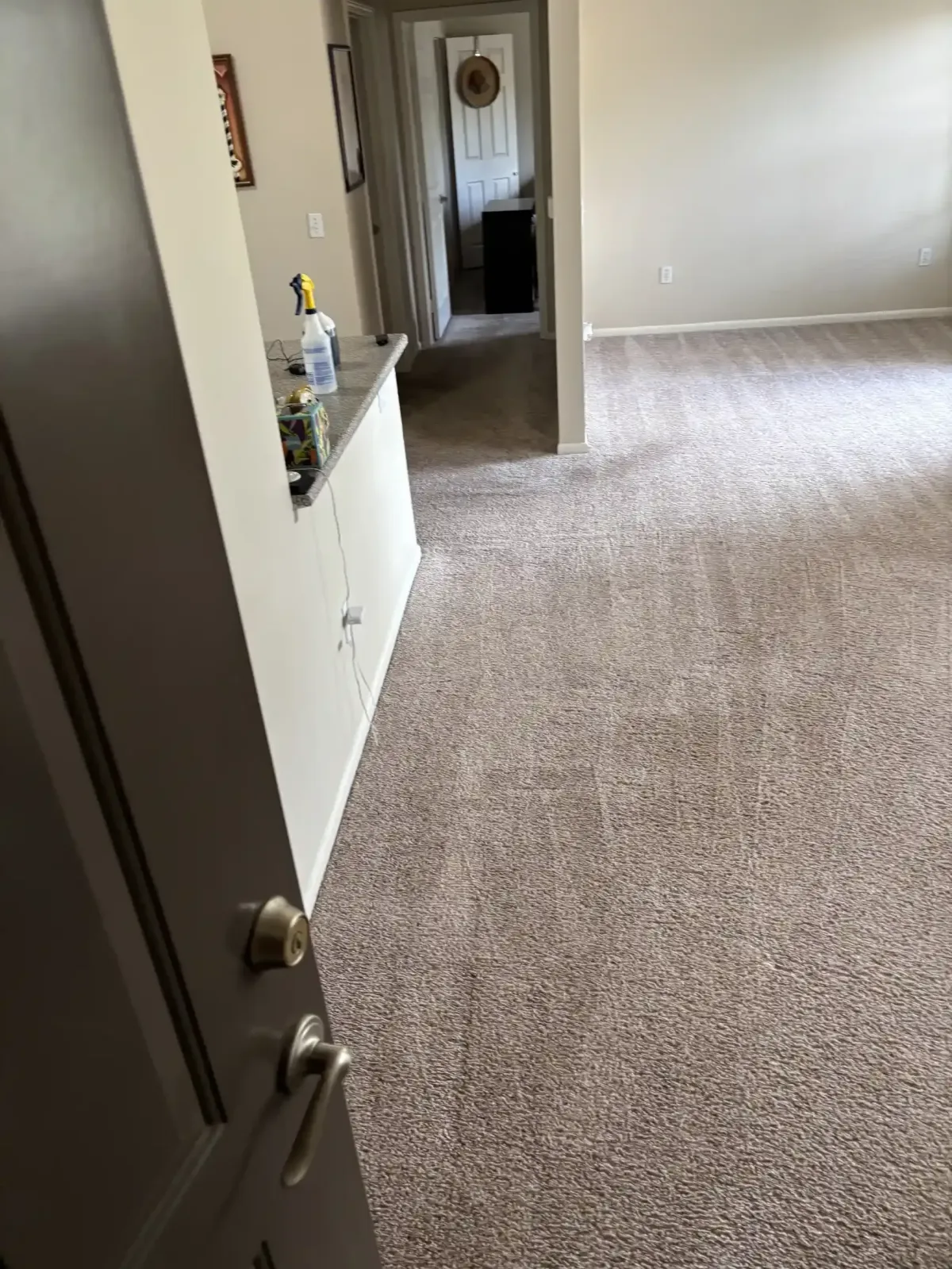 Same-Day Carpet Cleaning Castle Rock