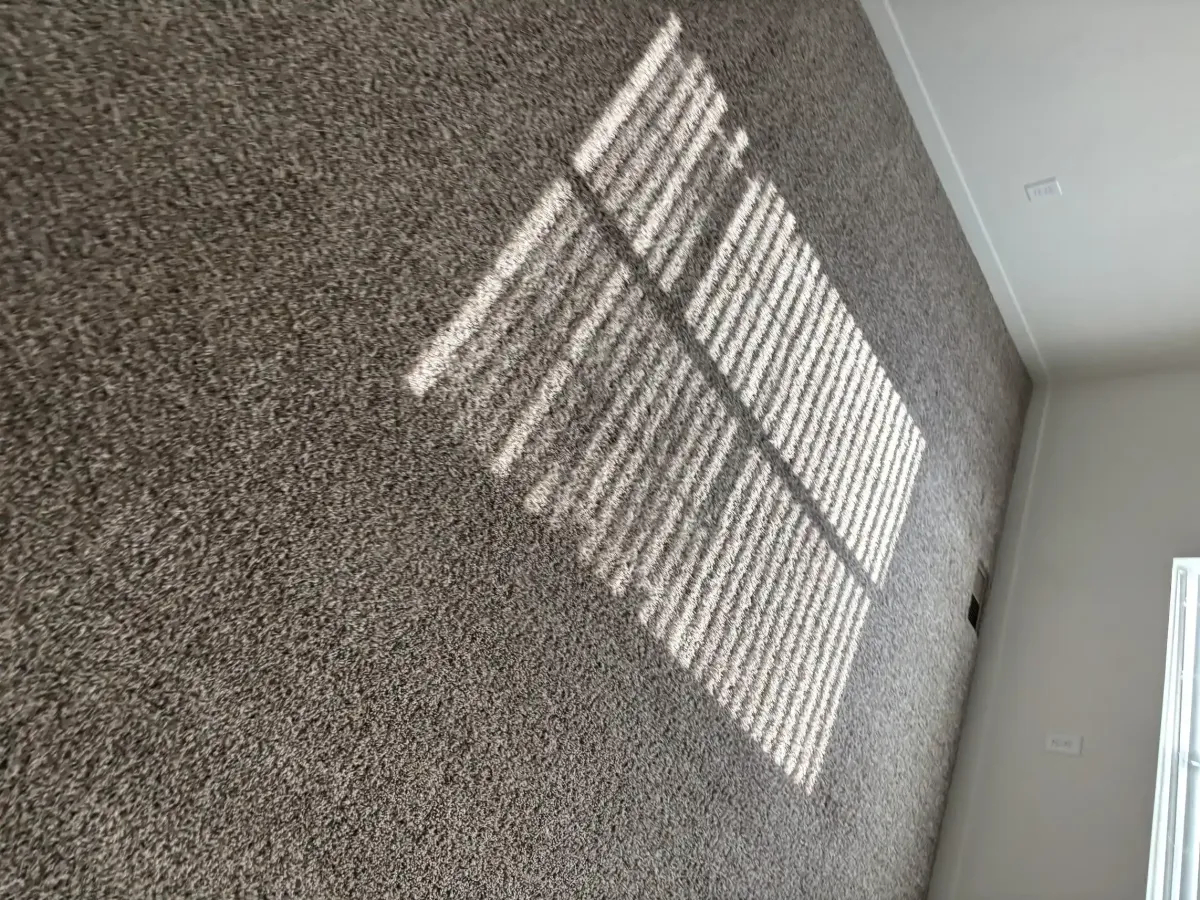 Same-Day Carpet Cleaning in Castle Rock — When the Other Company Doesn't Show Up