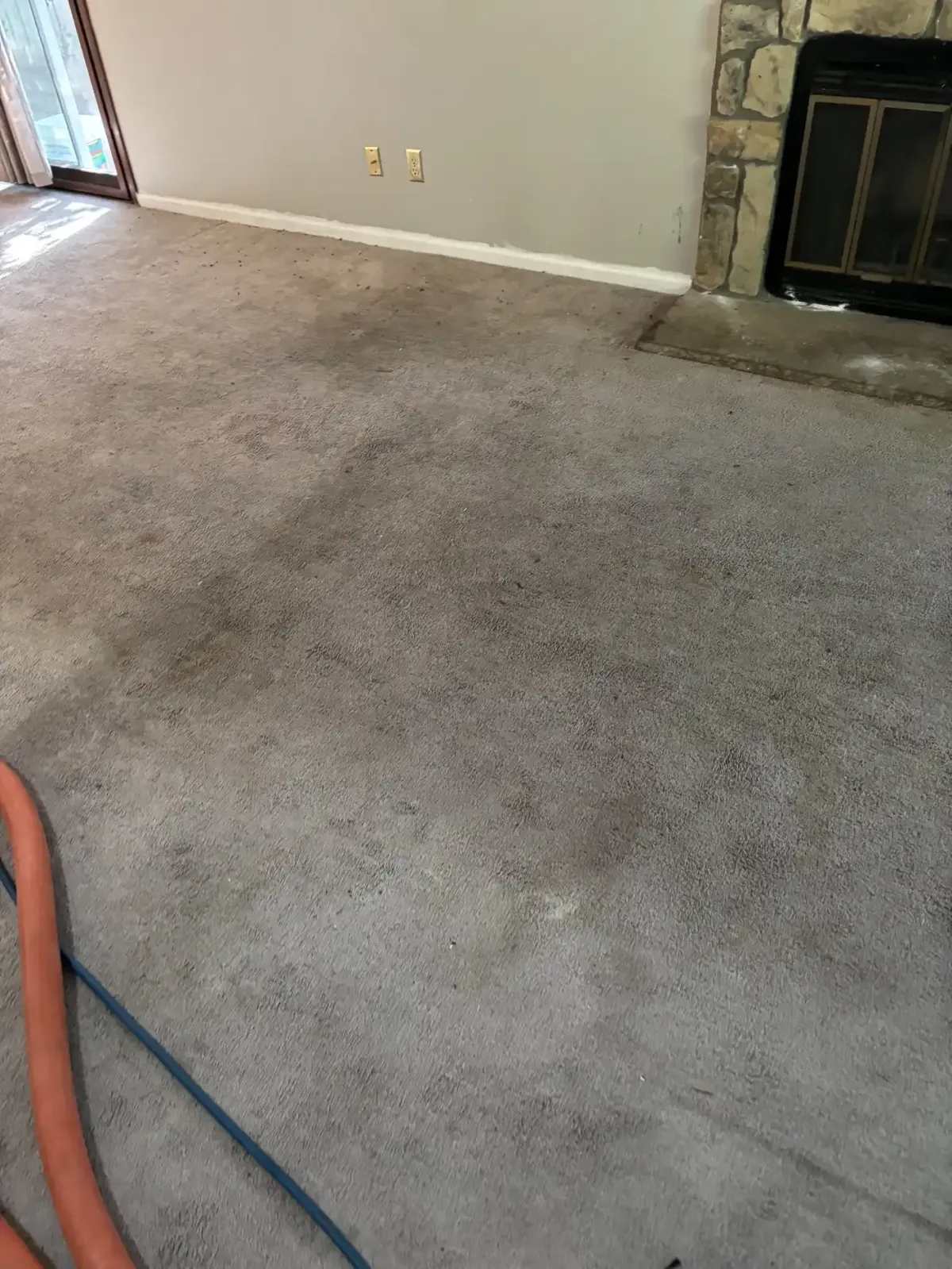 Cleaned patterned Berber carpet after same-day pet urine treatment in Centennial Colorado
