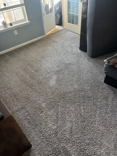 Lakewood Emergency Carpet Damage Restoration Timeline 48 Hours