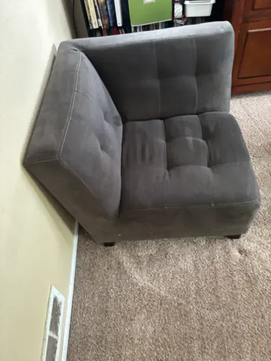 Morrison Upholstery Organic Debris Cleaning
