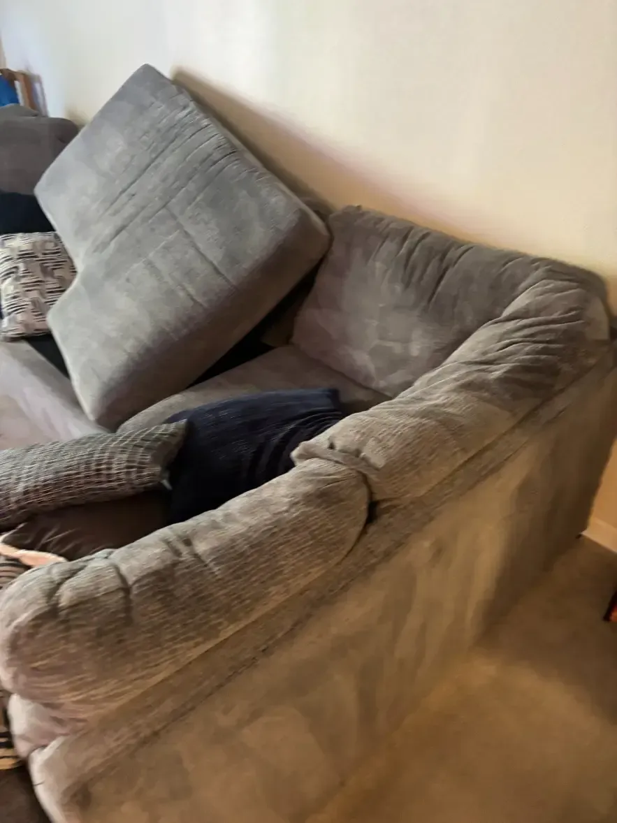 Morrison Canyon Wool and Natural Fiber Upholstery Cleaning