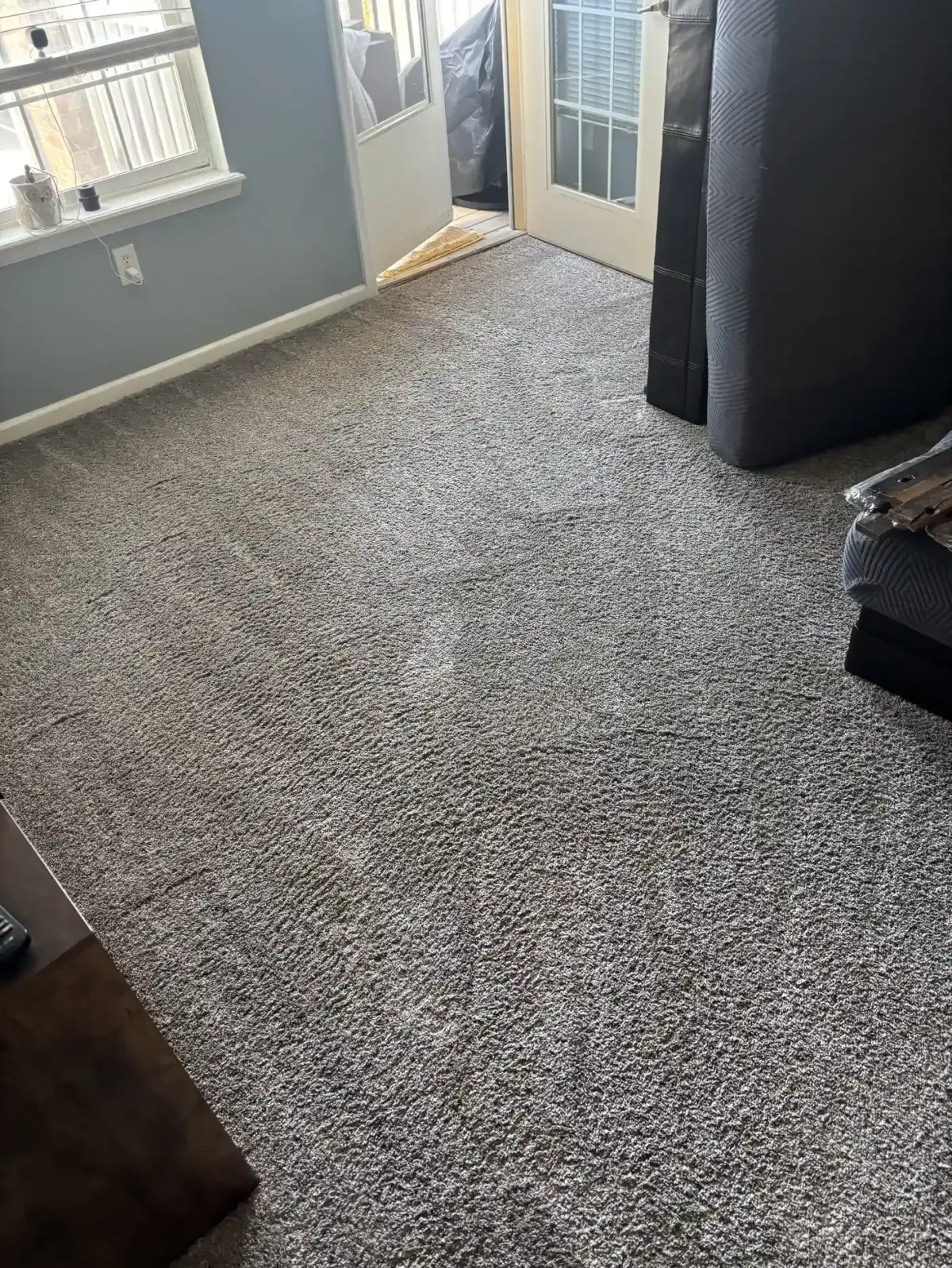 Clean polyester-nylon blend carpet in Castle Rock Founders Village home after professional spring truckmount cleaning by Colorado Choice