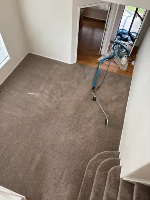 Morrison Red Rocks Area Pre-Event Carpet Cleaning