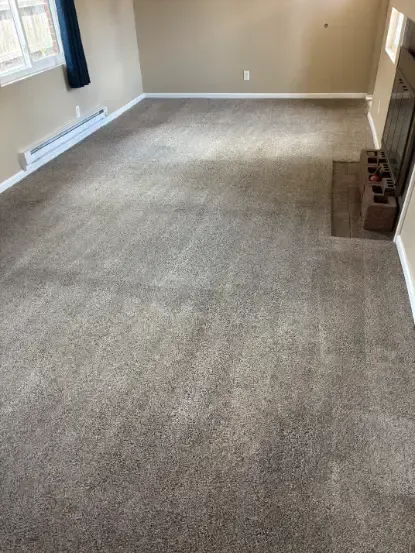 Wheat Ridge Applewood Border Foothills Clay Carpet Cleaning