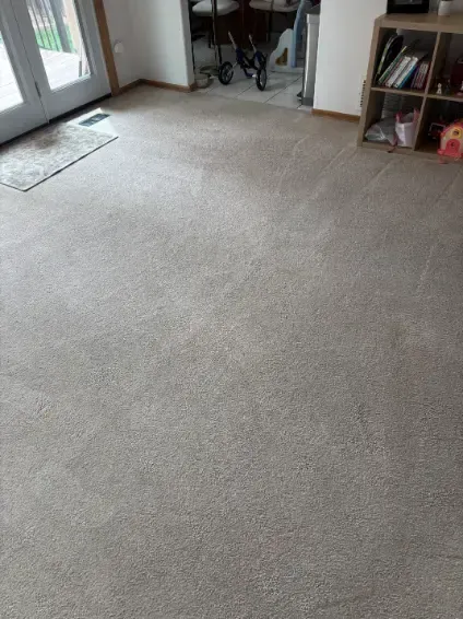 Wheat Ridge Carpet Fiber Identification Cleaning