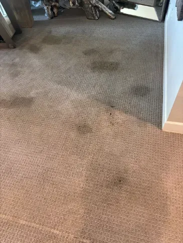Morrison Applewood Border Foothills Clay Mineral Stain Cleaning