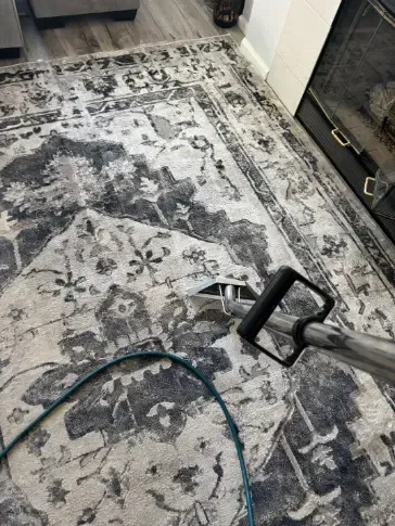 Wheat Ridge Restoration Treatment Carpet Cleaning