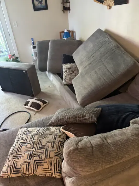 Wheat Ridge Wool and Natural Fiber Upholstery Cleaning