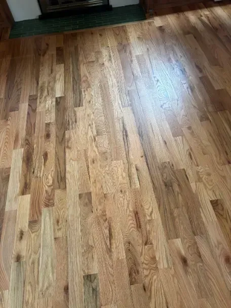 Wheat Ridge LVT Water Mineral Film Cleaning