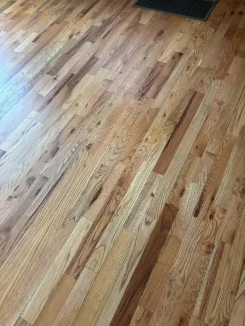 Wheat Ridge Standard LVT Floor Cleaning Solution