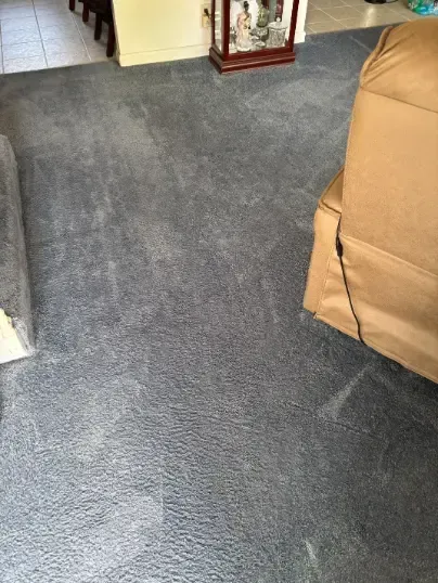 Wheat Ridge Emergency Carpet Situations Pipe Burst
