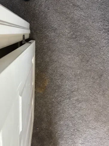 Wheat Ridge Emergency Carpet Situations Pipe Burst Paramount Heights