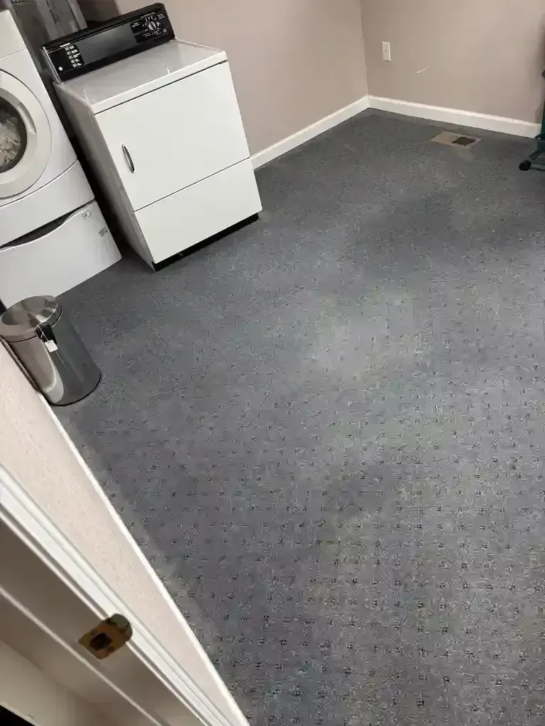 Wheat Ridge  Appliance Fitting Failures Emergency Carpet Cleaning