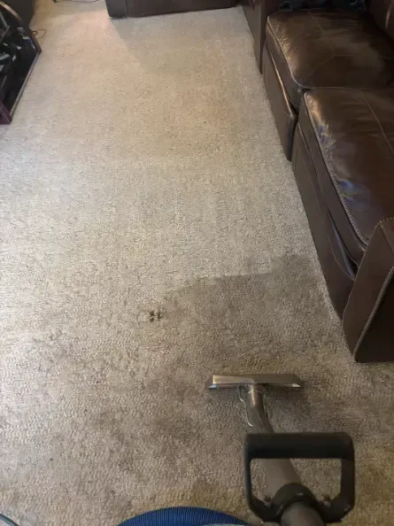 Wheat Ridge Water Damage Emergency Carpet Cleaning