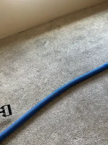 Whea Ridge Pre-Event and Guest Arrival Same-Day Carpet Cleaning