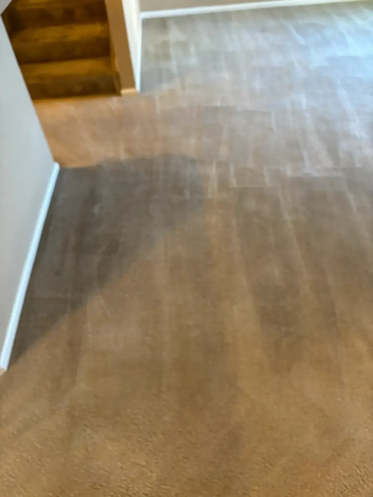 Morrison Red Rocks Area Commercial Emergency Carpet Cleaning