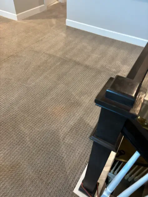 Colorado Choice Fast Dry carpet cleaning method in Centennial Colorado