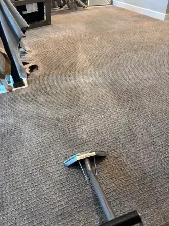 Centennial Carpet Fiber Identification and Cleaning