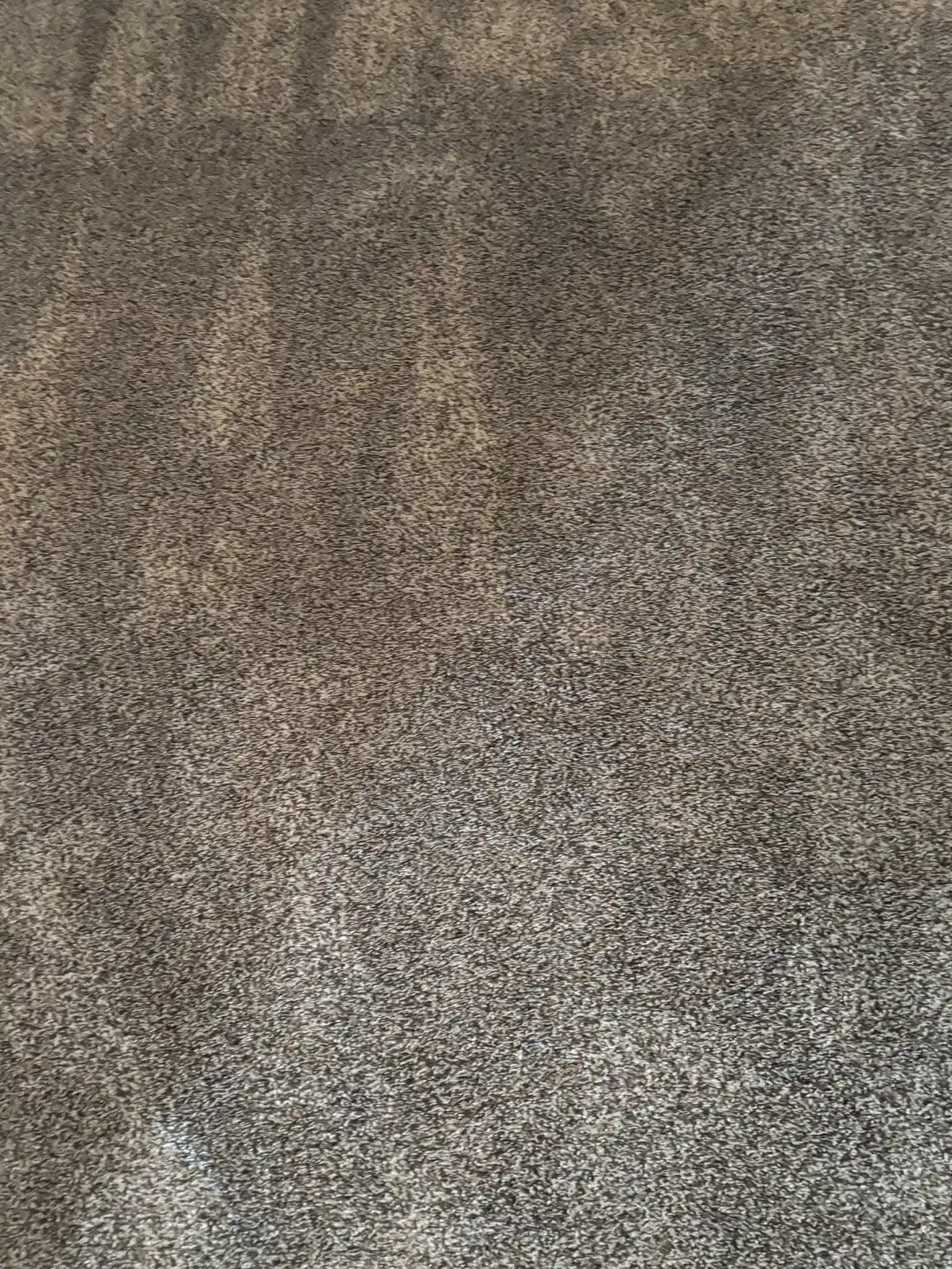 Nylon cut Berber carpet cleaning in a Highlands Ranch move-out home with elderly dog urine red hue treatment