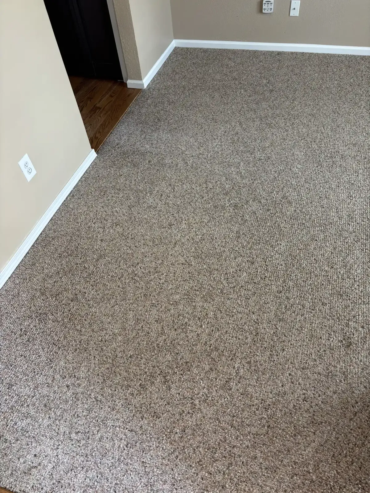 Denver Upholstery Cleaning – Hampton Microfiber Referral