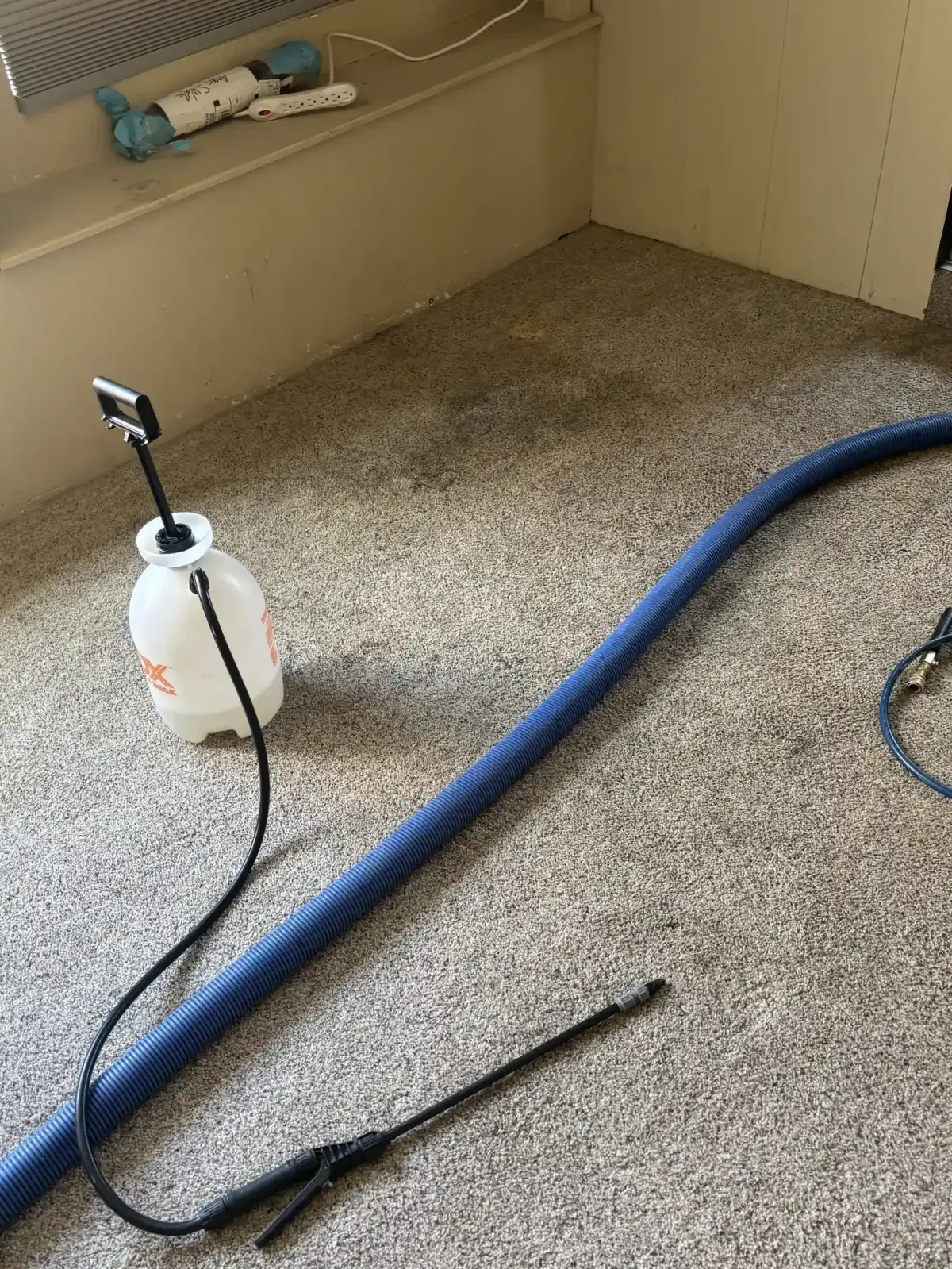 Castle Rock Carpet Cleaning – Plum Creek Pet Loss Backup Truck