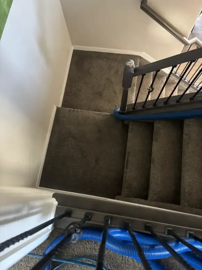 Centennial Same-Day Carpet Cleaning Real Estate Cleaning