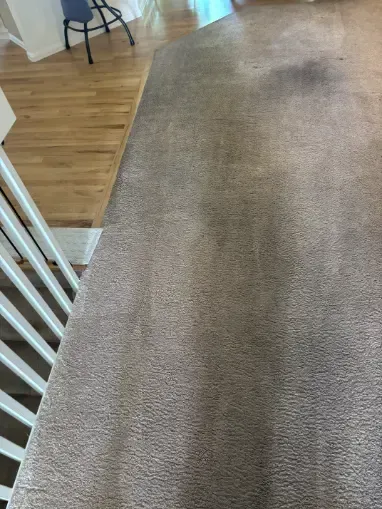 Centennial Same-Day Carpet Cleaning Rental Property Cleaning