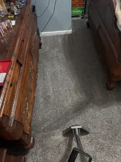 Centennial Same-Day Carpet Cleaning Pre-Event Cleaning