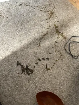 Franktown Floors Are Actually Dealing With Older Ranch Home Surfaces Cleaning