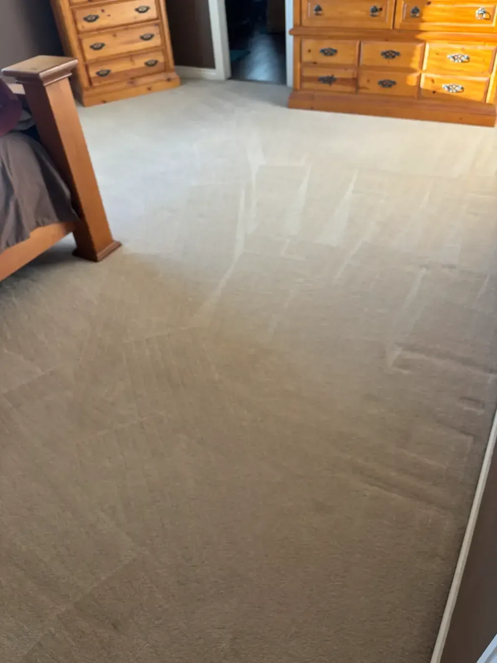 Elizabeth Floors Surface Carpet Cleaning