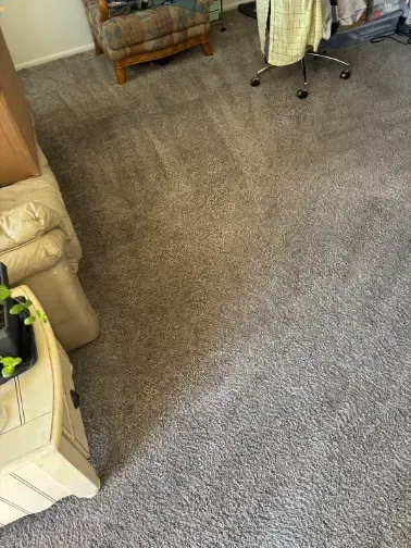 Broomfield Floors Surface Identification Carpet Cleaning