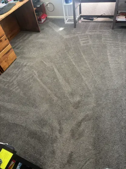 Same-day carpet cleaning in Aurora Colorado before guests arrive