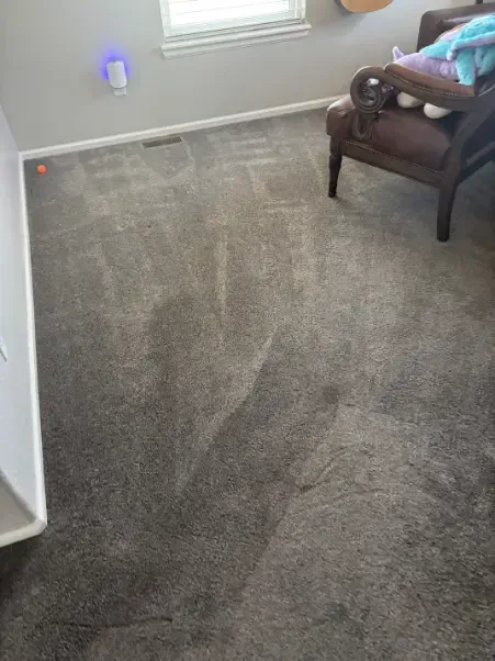 Aurora Floors Surface Identification Carpet Cleaning
