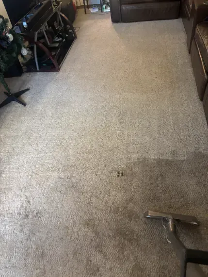 Aurora Floors Water Mineral Deposits Carpet Cleaning