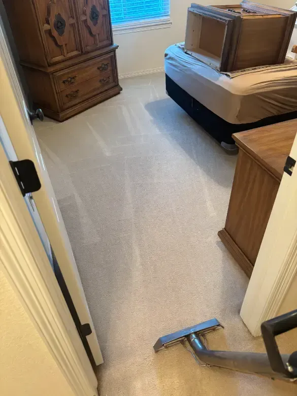 Larkspur Floors Are  Dealing With Heating Season Carpet  Cleaning